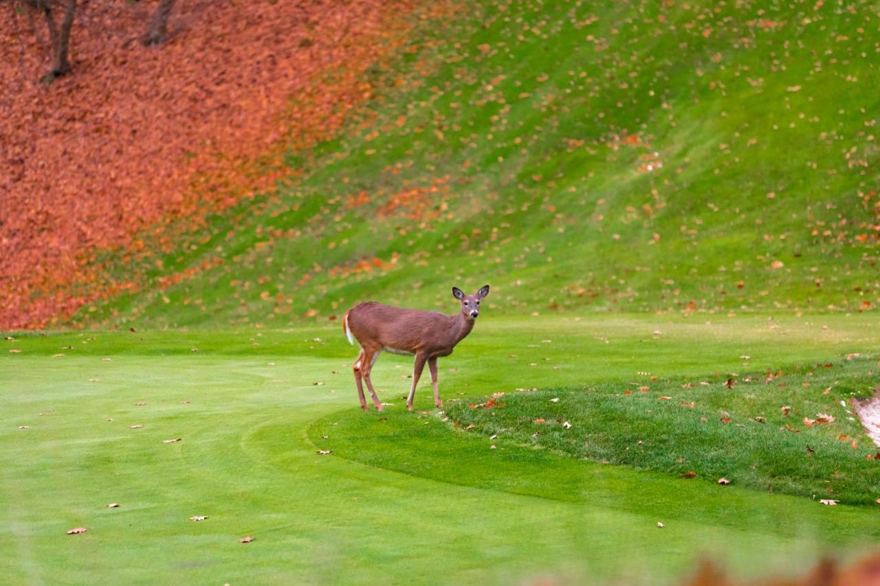 Crown Resorts At Wolf Run دوبويس المظهر الخارجي الصورة